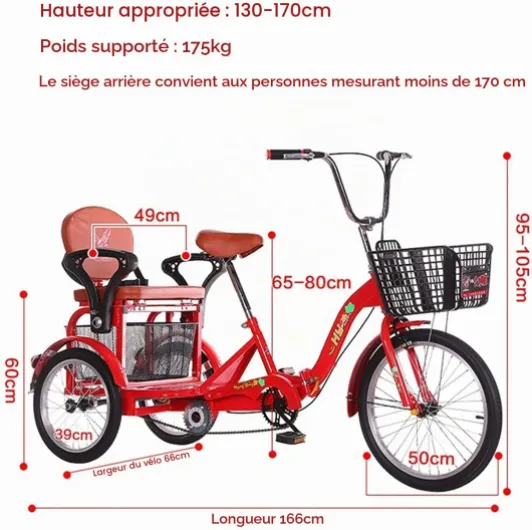Tricycle adulte avec siège enfant et panier à légumes – Vélo stable à trois roues pour les trajets en famille et les courses