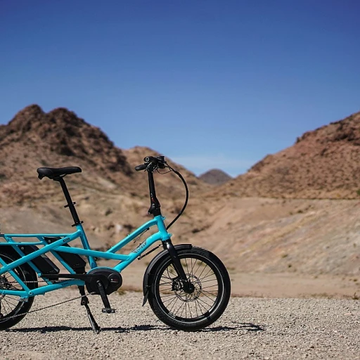 Choisir le bon sac à dos pour votre vélo cargo