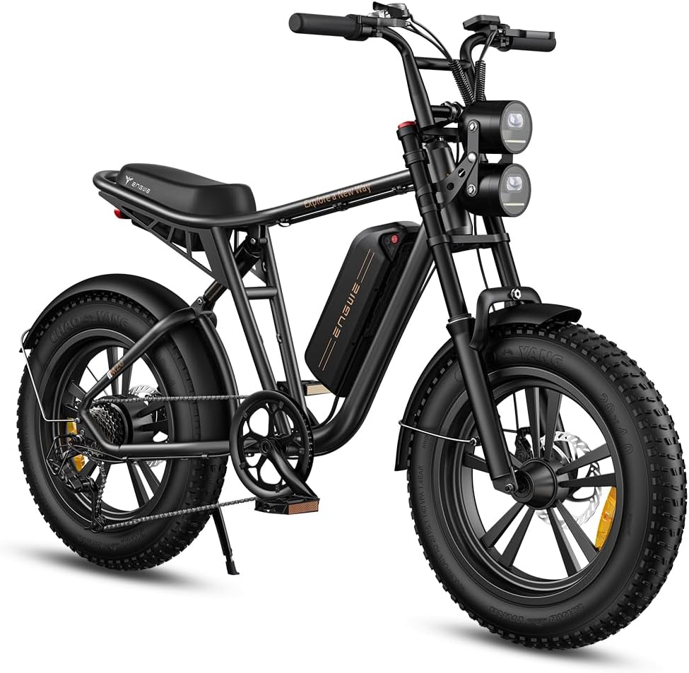 E Bike Hommes Vélo électrique-Ebike avec Une Batterie/ 2 Batteries, E-Bike 20 * 4.0 Pouces Pneus Gras, Ebike Hommes jusqu'à 75km/150km/90km/170km, Vélo électrique 7 Vitesses, M20/M1 Noir Batterie Simple