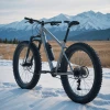 Fourche fat bike en titane Moots : un choix d’exception pour terrains variés