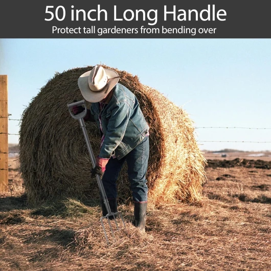 81sN5cJQALL._SL1500_