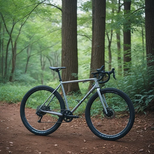 Les atouts du vélo gravel en titane : le Moots Routt