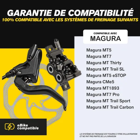 71pQ7Tue5YL._AC_SL1500_