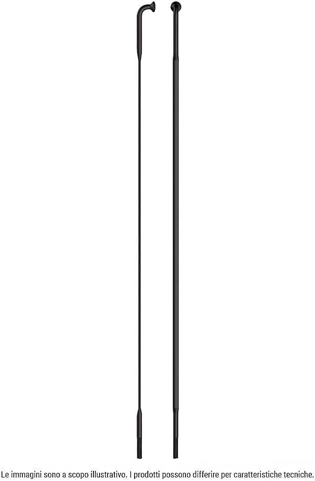 Sapim, Cx-Ray INOX J-Bend, Rayons, Noir, 256Mm, Unisexe-Adulte