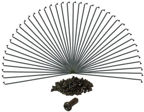 40 rayons DT Swiss inoxydable avec des écrous faits sur mesure - noir