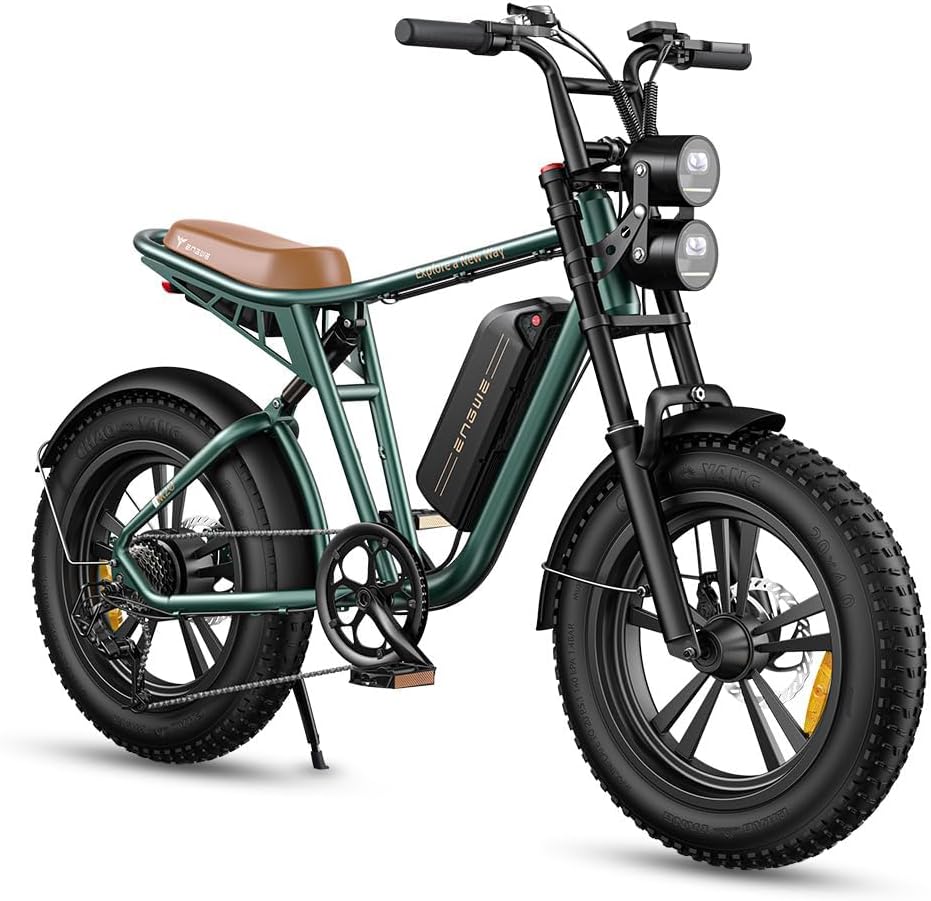 E Bike Hommes Vélo électrique-Ebike avec Une Batterie/ 2 Batteries, E-Bike 20 * 4.0 Pouces Pneus Gras, Ebike Hommes jusqu'à 75km/150km/90km/170km, Vélo électrique 7 Vitesses, M20/M1 Vert Batterie Simple