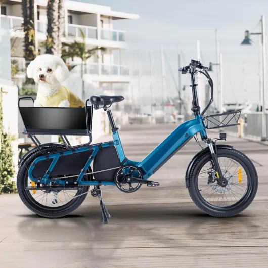 81 mWpmYsHL._AC_SL1500_