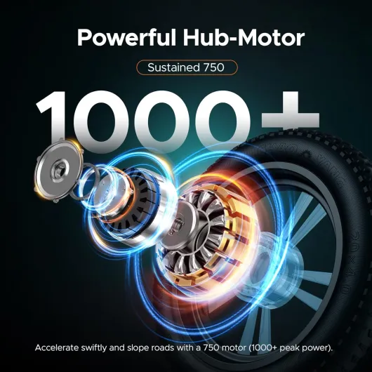 71N-6OmOwxL._AC_SL1500_