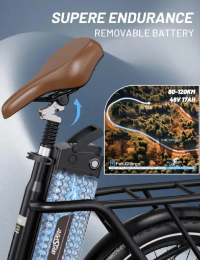 81z6vluk1wL._AC_SL1500_