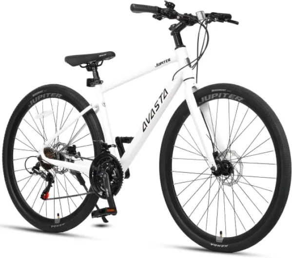 Vélo de Course Adulte, Roues 700C, boîte de Vitesses 21 Vitesses, vélo avec Fourche Rigide et Freins à Double Disque pour Hommes et Femmes, 44 cm, 50 cm, Plusieurs Couleurs Brillant glacial 44cm