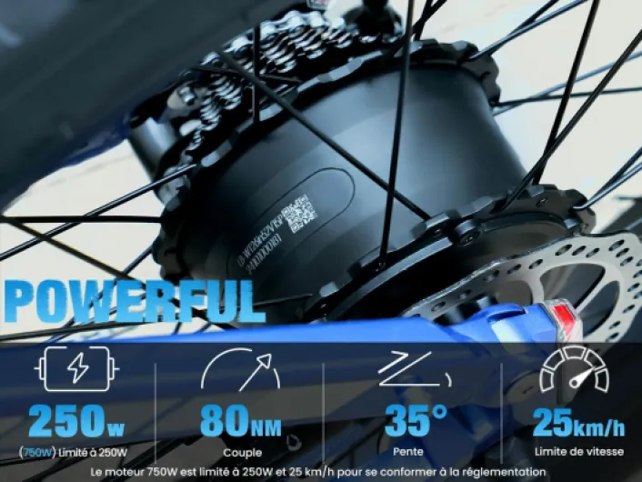 611Axu3eQuL._AC_SL1200_