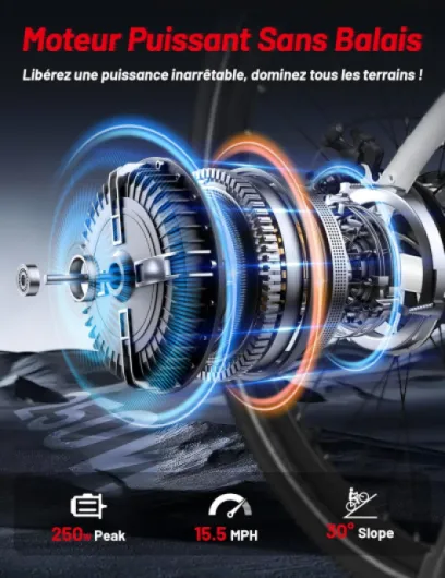 81gVZzdBOtL._AC_SL1500_