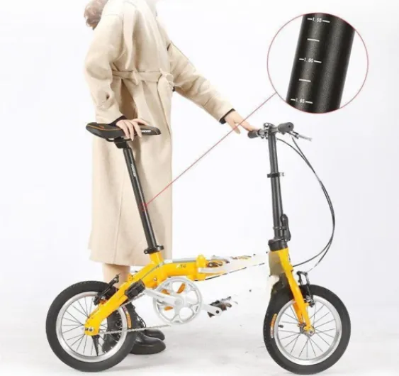 61Bob0gmTPL._AC_SL1000_