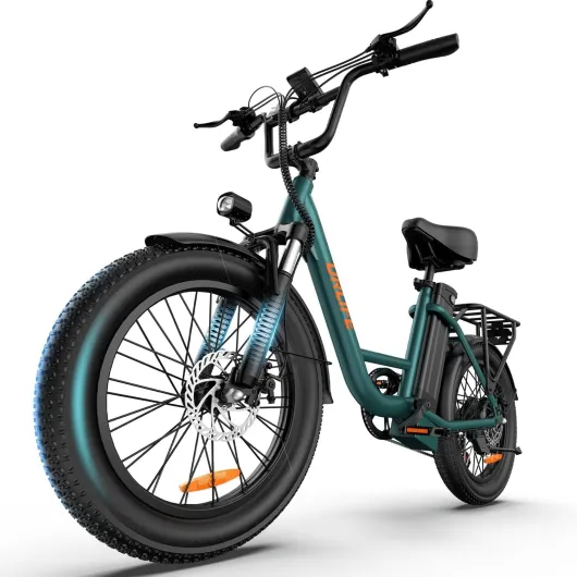 URLIFE Vélo Électrique, 20 * 3" Gros Pneus Bike Electrique pour Adulte, VTT électrique 250W, Batterie Amovible 48V 13AH, Vélo électrique 7 Vitesses, E-Bike Autonomie 100 KM Vert