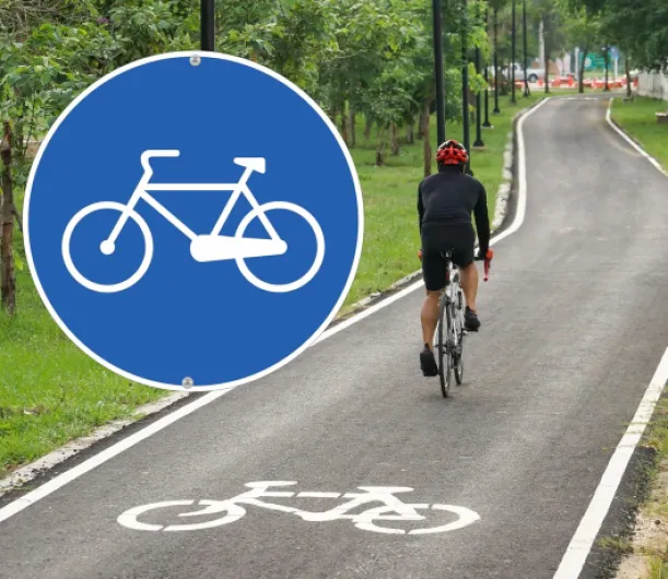 91sew8I9M1L._AC_SL1500_