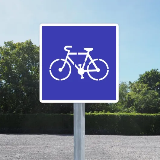 61isMlVCsZL._AC_SL1000_