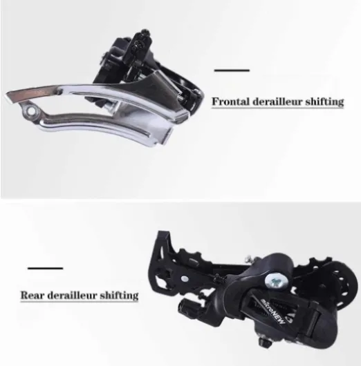 51bRg MXDAL._AC_SL1040_