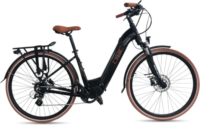 71AbgPjFLUL._AC_SL1500_