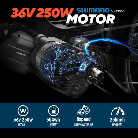 71RRGHrOFQL._AC_SL1500_