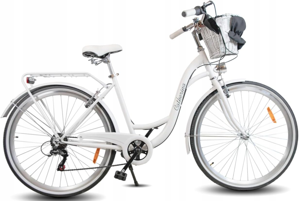 Vélo de ville pour femme 26", 7 vitesses, cadre en acier, avec panier en osier, pour adolescents et adultes Blanc.
