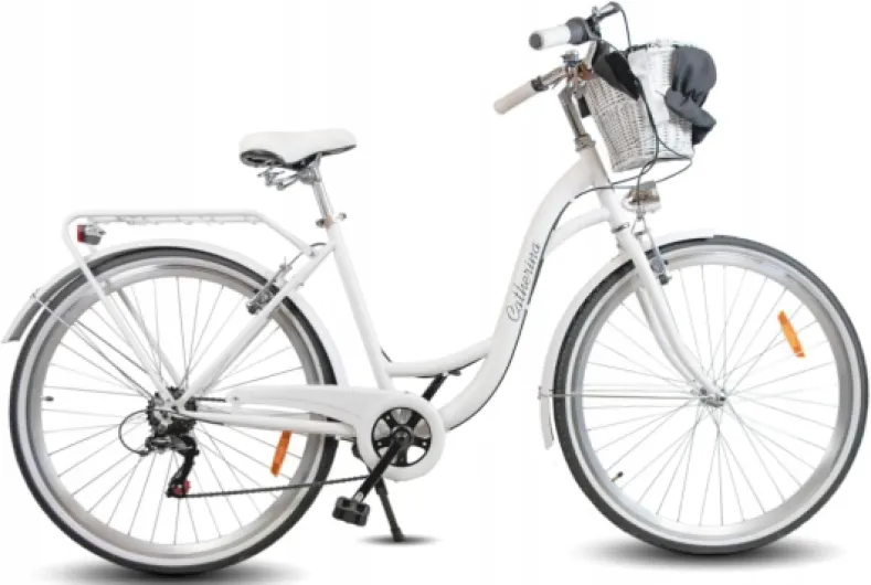 Vélo de ville pour femme 26", 7 vitesses, cadre en acier, avec panier en osier, pour adolescents et adultes Blanc.