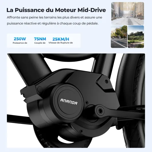 71d1o PRD8L._AC_SL1500_