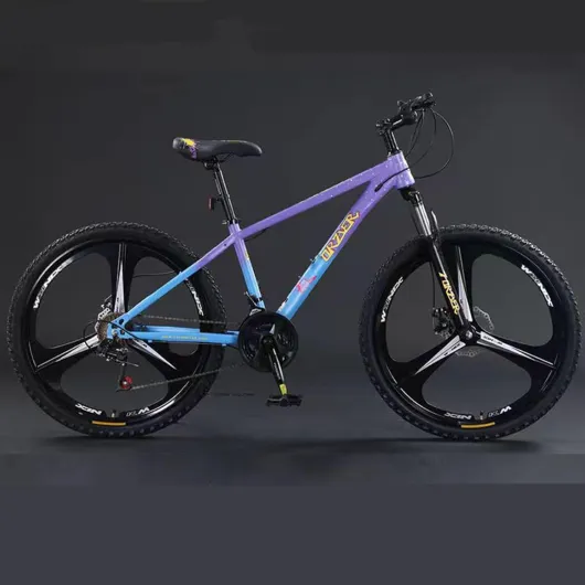 Vélo de Montagne Cross Country 26 Pouces 30 Vitesses 27 Vitesses Roue Monobloc Jeunesse Adulte B1 26-inch 24-speed