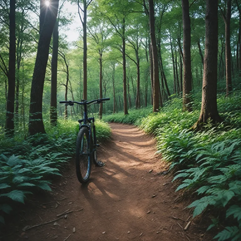 Pourquoi choisir un vtt trail électrique specialized turbo levo pour vos sorties nature