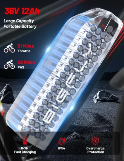 81WHKwEJdbL._AC_SL1500_