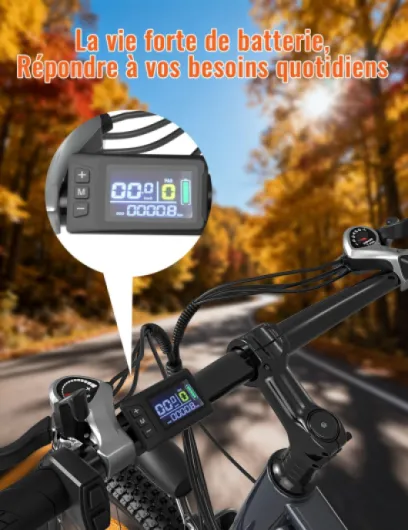 71y0sjYdo4L._AC_SL1500_