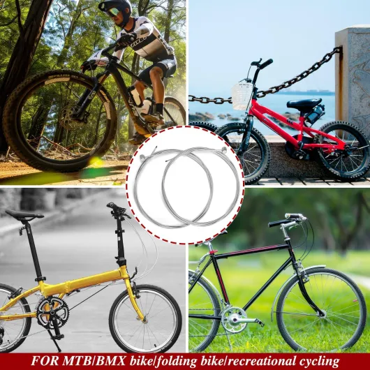 81tE9jVUFVL._AC_SL1500_