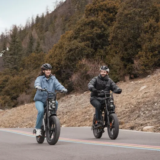 E Bike Hommes Vélo électrique-Ebike avec Une Batterie/ 2 Batteries, E-Bike 20 * 4.0 Pouces Pneus Gras, Ebike Hommes jusqu'à 75km/150km/90km/170km, Vélo électrique 7 Vitesses, M20/M1 Noir Batterie Double