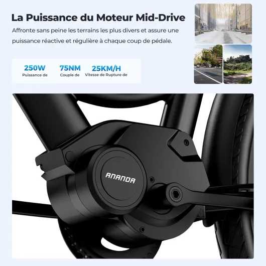 Urbano 2 Vélos électriques, Autonomie 100km, Vélo à Assistance électrique 26 Pouces à Moteur Central 36V 13AH 250W, VTC Electrique Homme Femme