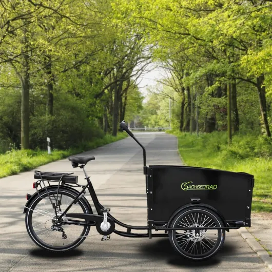 T1 Grand Trunk Vélo Cargo Électrique Triporteur Adultes, Caisse Modulable avec Coffre de Rangement, Protection Pluie, Alarme et Éclairage LED Homologué, 4 Places Enfants avec Ceintures
