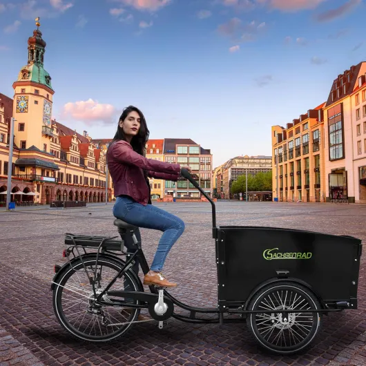 91eZlbU5nQL._AC_SL1500_
