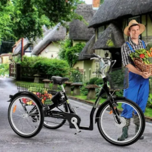 Test Vélo Cargo électrique T3A Trio : le triporteur qui remplace (presque) la voiture en ville