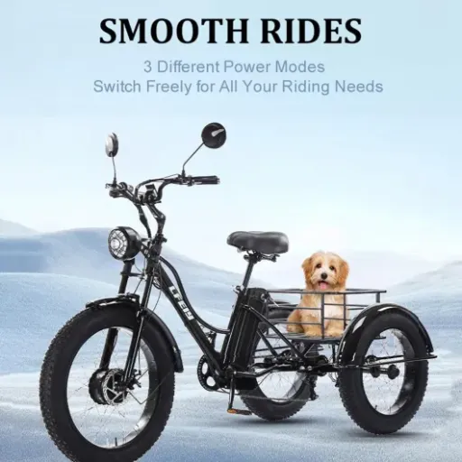 Test Tricycle électrique 7 vitesses 48V 18Ah : le gros triporteur qui remplace (un peu) la voiture