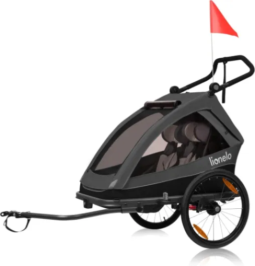 CAMA Remorque vélo 2 en 1 avec Fonction Poussette pour 1 ou 2 Enfants de 6 m - à 6 Ans, capacité de Charge 2x22 kg, Suspension, Grandes Roues, auvent étanche Graphite