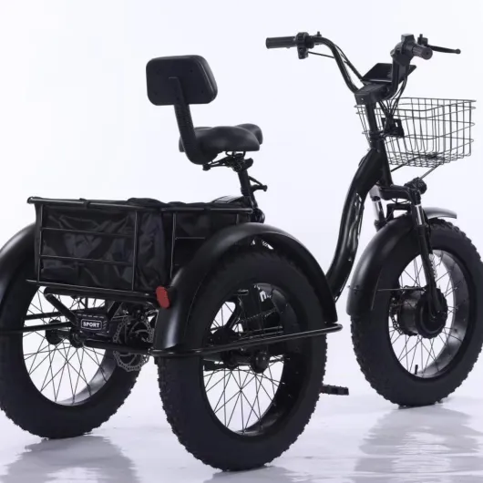 Tricycle électrique Pliable 20 Pouces, Tricycle à pédales pour Adultes avec Panier et Cadre Avant, Batterie Amovible 48 V/12 Ah - autonomie 35 km, Temps de Charge : 5 Heures