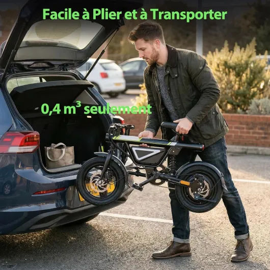 Vélo Électrique Pliable Adulte - Moteur 250W sans Balais - Batterie 36V 12Ah Grande Capacité - Autonomie 50km - Amortisseur Central - VAE Urbain et Loisirs
