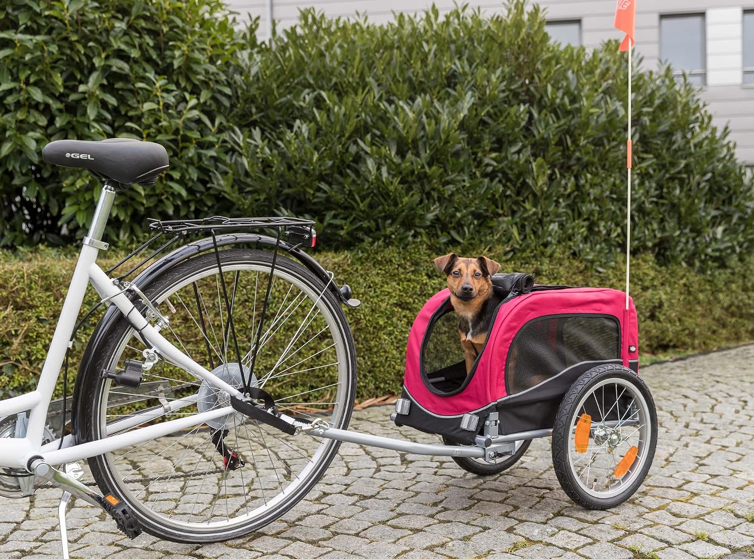 TRIXIE Pet Bike Trailer, Dog Bicycle Trailer, Foldable, Easy to Assemble S (53 × 60 × 60 (117) cm)