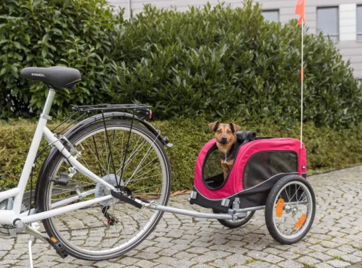 TRIXIE Pet Bike Trailer, Dog Bicycle Trailer, Foldable, Easy to Assemble S (53 × 60 × 60 (117) cm)