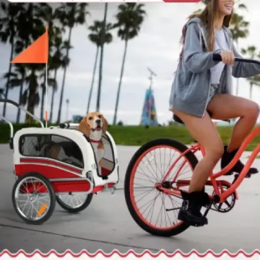 Test SEPNINE Remorque Vélo pour Chiens (taille M) : la poussette-remorque qui fait le job pour les chiens jusqu’à 30 kg