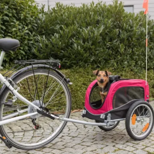 Test TRIXIE Pet Bike Trailer S : la petite remorque pratique pour emmener son chien partout