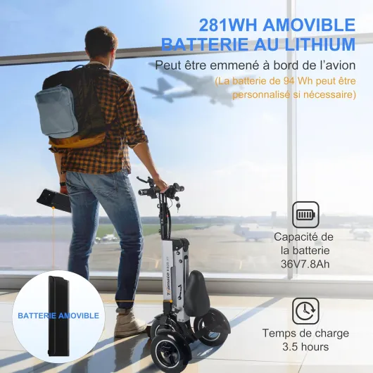 Tricycle Électrique Pliable avec Siège pour Adultes, Léger Tricycle avec Batterie Amovible 36 V 7,8 Ah, Fonction Marche Arrière et Interrupteur à Clé pour Les Déplacements et Les Voyages