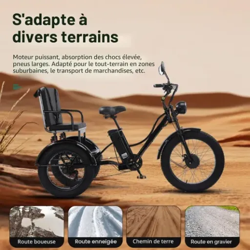 Test Tricycle électrique 24 pouces gros pneus (HpLNDas) : le triporteur costaud mais pas si simple à vivre