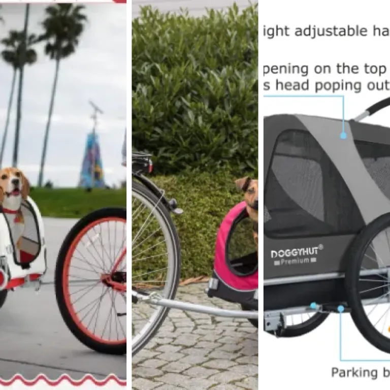 Guide d'achat : les 5 meilleurs remorques vélo pour animaux (2026)