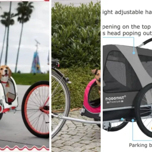 Guide d'achat : les 5 meilleurs remorques vélo pour animaux (2026)